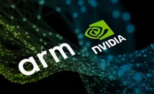 被市場嚴重低估的七大國產軟件，長牛之王崛起，誰是十倍龍頭？